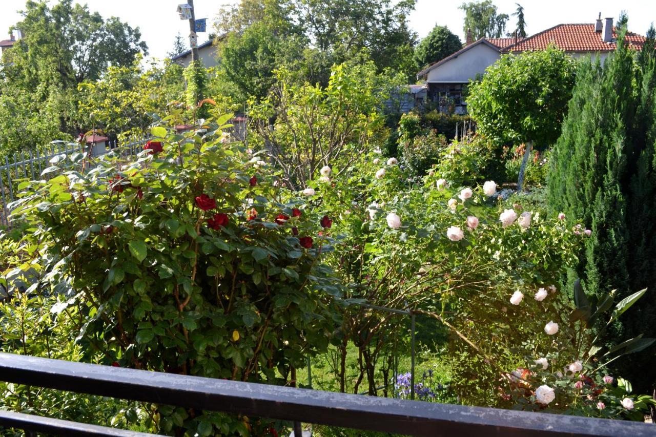 Sea & Garden Villa Varna Esterno foto